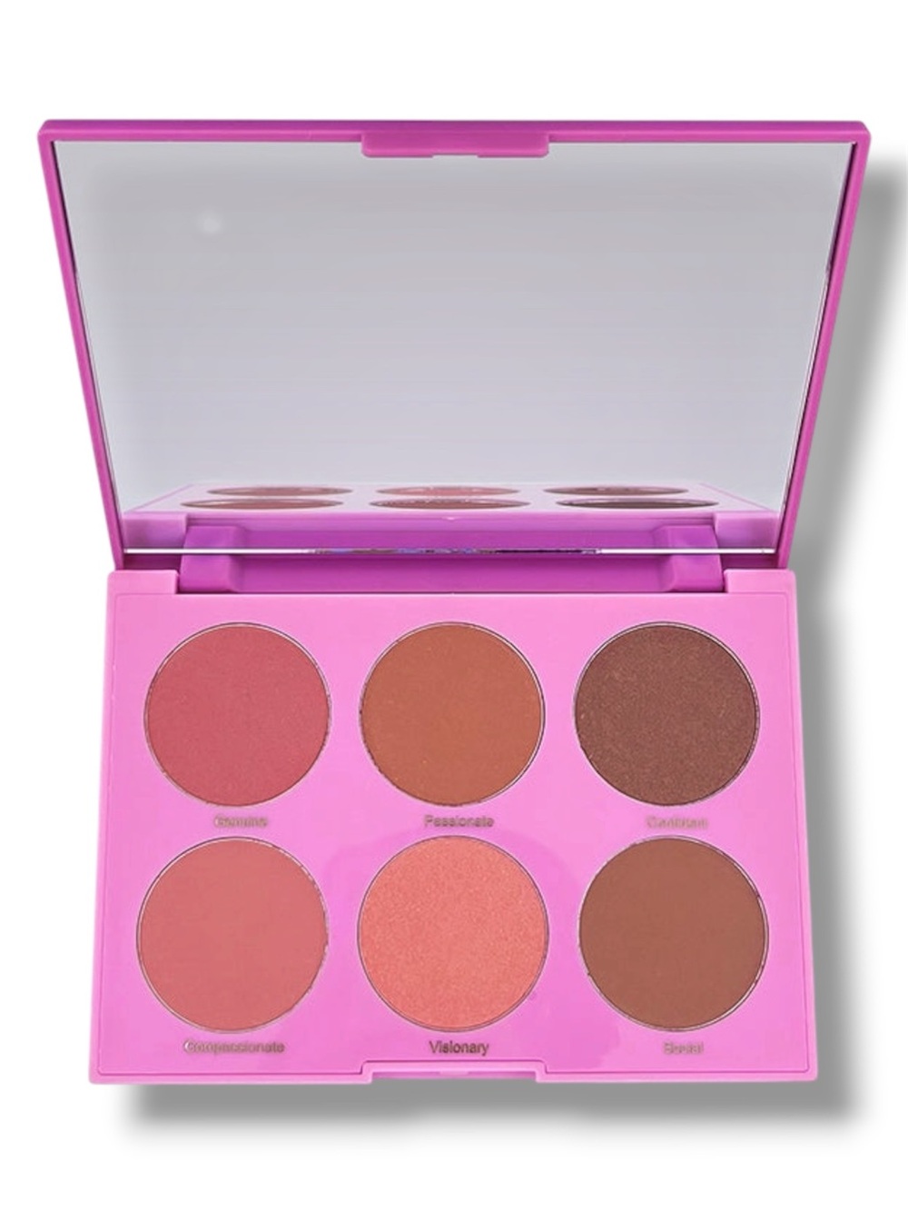 🆕 Sealed RealHer “You Are Brilliant” Pro Blush Palette